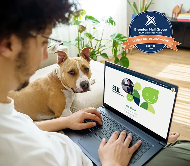 SLII Collaborative Online